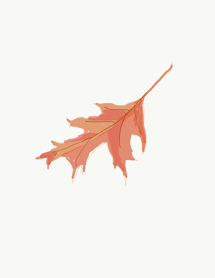 Mapple Leaf